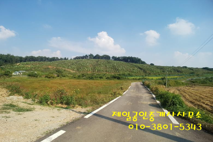 화성 청요리 취락지구 자연녹지 토지 매매 화성 청요리 취락지구 자연녹지 토지 매매