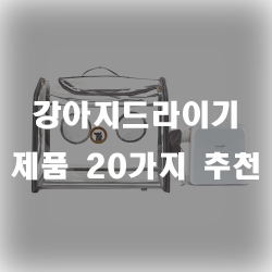  목욕 후 강아지털을 말리기 좋은 강아지드라이기 제품!