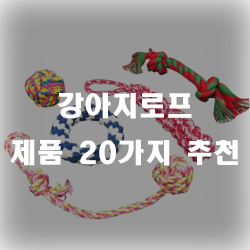  반려견과 같이 어울리며 재밌는 놀이를 도와주는 강아지로프 추천 제품이에요!