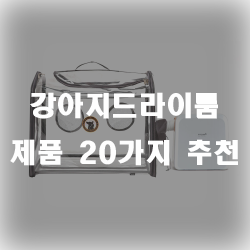  소음을 최소화하며 털을 말리기 좋은 강아지드라이룸 추천 제품들