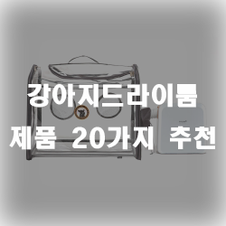 소음을 최소화하며 털을 말리기 좋은 강아지드라이룸 추천 제품들