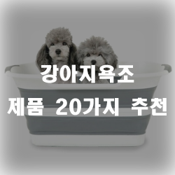  강아지들을 위한 강아지욕조제품들 추천!!