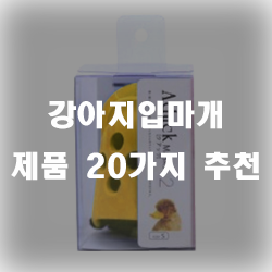 강아지입마개로 서로서로 안전한 산책을 즐겨보세요~