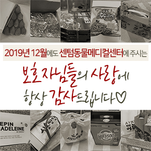  2019년 12월에도 센텀동물메디컬센터에 주시는 보호자님들의 사랑에 항상 감사드립니다 (부산 수영구 남구 연제구 분과 전문 동물병원)