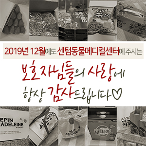 2019년 12월에도 센텀동물메디컬센터에 주시는 보호자님들의 사랑에 항상 감사드립니다 (부산 수영구 남구 연제구 분과 전문 동물병원)