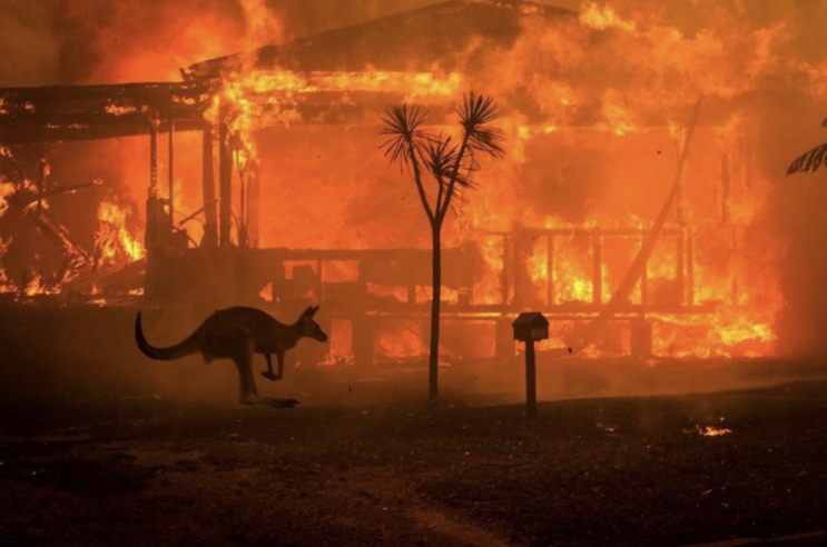 캐나다 정부 호주 산불 피해 진압 위한 소방지원팀 지속 파견 중