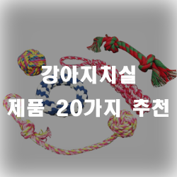  반려견 치아관리를 도와주는 강아지치실 제품!