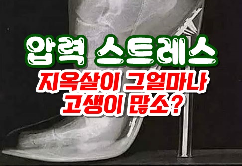  맨발 운동화 하이힐 슬리퍼 보행 시 족부 압력 비교