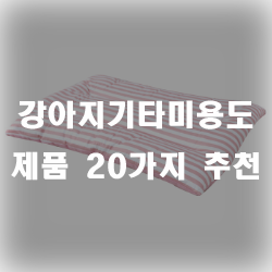  여러가지 제품이 있는 강아지기타미용도구로 미용을 해볼까요?