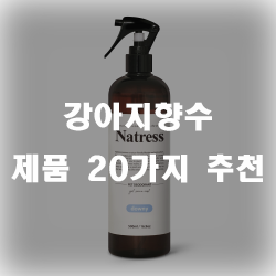  하루종일 향기가 나는 강아지향수 추천제품!
