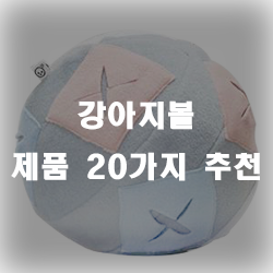  반려견들을 위한 장난감, 강아지볼 제품 추천드려요!