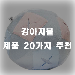 반려견들을 위한 장난감, 강아지볼 제품 추천드려요!