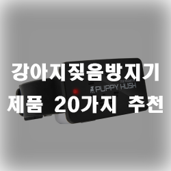  강아지짖음방지기로 짖는 강아지들을 훈련시켜봐요~