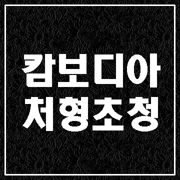  캄보디아 외국인배우자 처형 F-1 신청