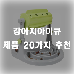  지능개발에 도움을 주는 강아지아이큐제품들입니다!