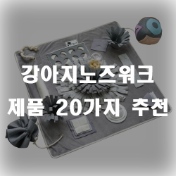  집에 혼자있어 외롭고, 산책이 부족하고, 분리불안이 있는 아이들에게 좋은 강아지노즈워크 제품들