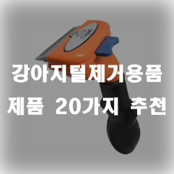  강아지 털이 집안에서 날라다닌다면 추천드리는 강아지털제거용품 모음집!!