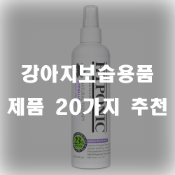 겨울철 건조해지는 강아지들을 위해서 강아지보습용품을 사용해보세요!