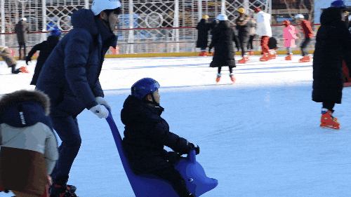 세종 가볼만한 곳 - 세종시청스케이트장에서 겨울방학 즐기기(2019.12.31)