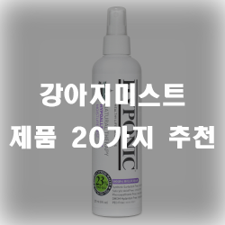 사람에게만 필요한게 아니에요! 강아지들에게도 필수용품 강아지미스트 제품모음!