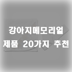  소중한 내 아이의 마지막을 도와줄 강아지메모리얼 제품입니다.
