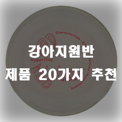  반려견과 같이 즐거운 시간을 갖게 해줄 강아지원반 제품입니다!