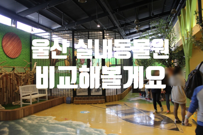  울산 실내동물원 와우쥬 쥬라리움 정글존 우리동네동물원 알아보아요