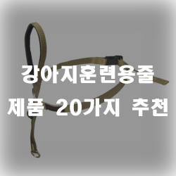  합리적인 가격의 강아지훈련용줄 모음입니다~