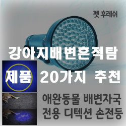  강아지배변흔적탐지기로 집안에 숨어있는 배변을 찾아보세요!!