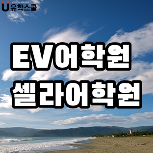  세부지역 EV어학원,셀라어학원 대표 코스&국적비율 비교하기!