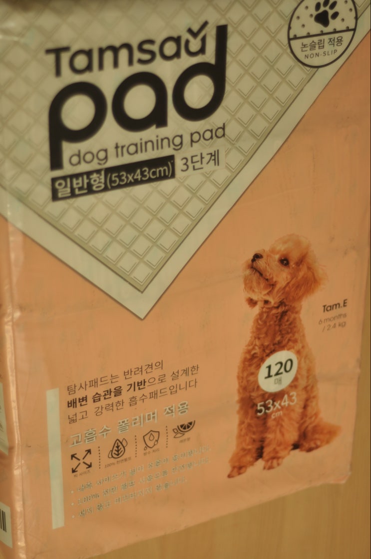  탐사 강아지 배변패드_쿠팡PB상품