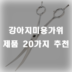  강아지미용가위로 집에서도 어렵지않게 미용을 해봐요!!