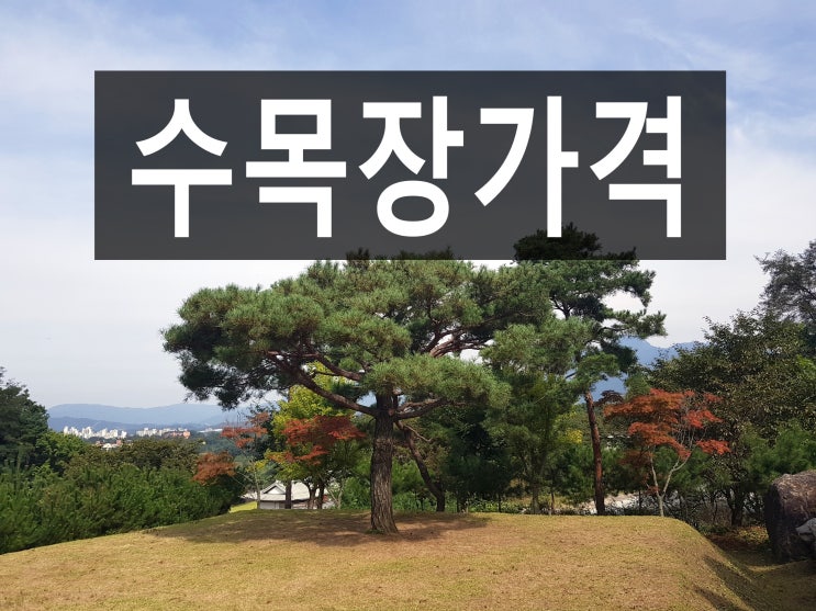  수목장가격 비싼 이유 알고 계신가요?