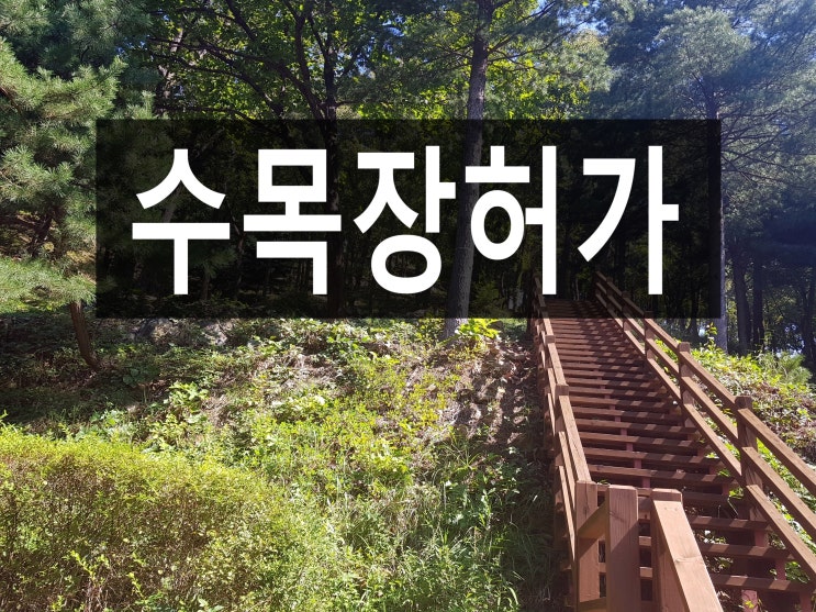  수목장허가 받은 곳 한눈에 알기 쉽게 정리해보았습니다.