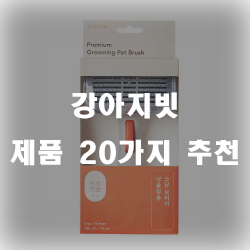  강아지빗으로 반려견의 털을 빗어보세요!!