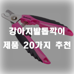  강아지발톱때문에 걱정이시라면 여기 있는 강아지발톱깍이 제품들을 추천드립니다!