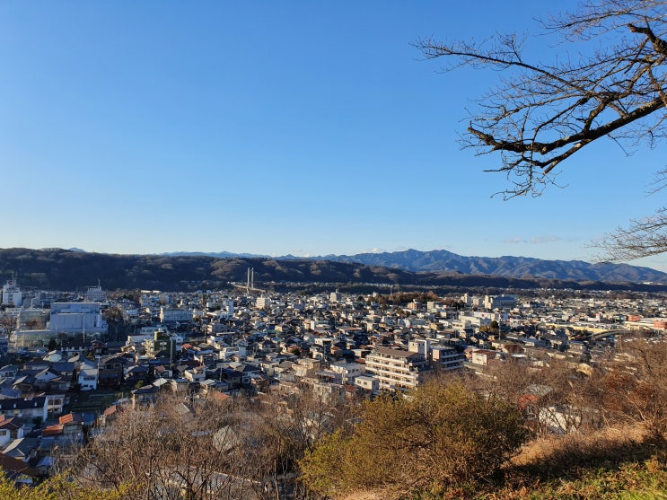 [신년의 일본 #5] 도쿄 근교 치지부 여행(2)