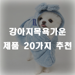  흡수력이 뛰어나 드라이시간을 절감시켜주는 강아지목욕가운 추천드려요!
