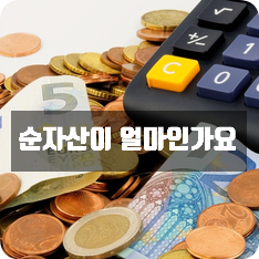 순자산이 얼마인가요? 순자산이 얼마인가요?