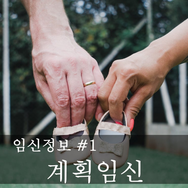  [임신정보] 예비 엄마,아빠의 임신공부  -임신계획