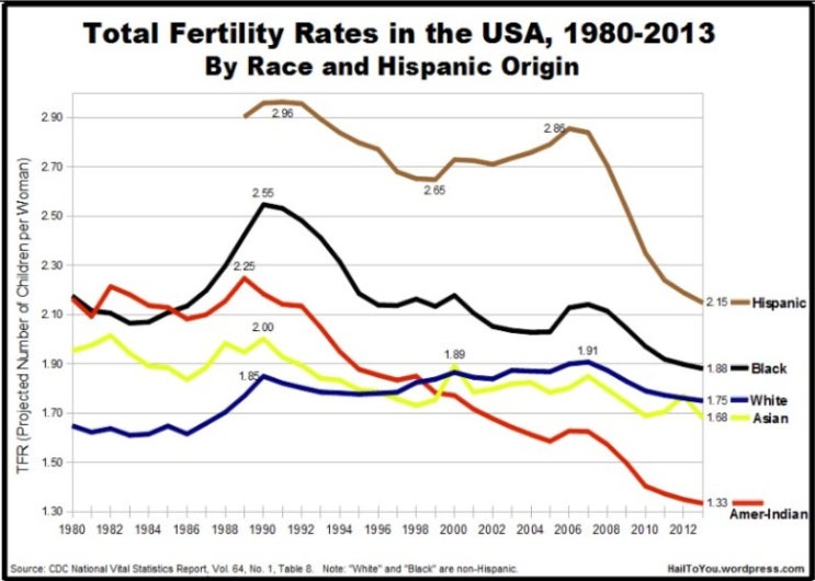 미국 인종별 출산율.jpg