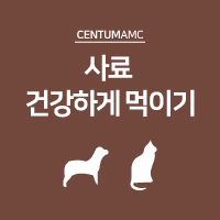  반려동물에게 사료 건강하게 먹이기