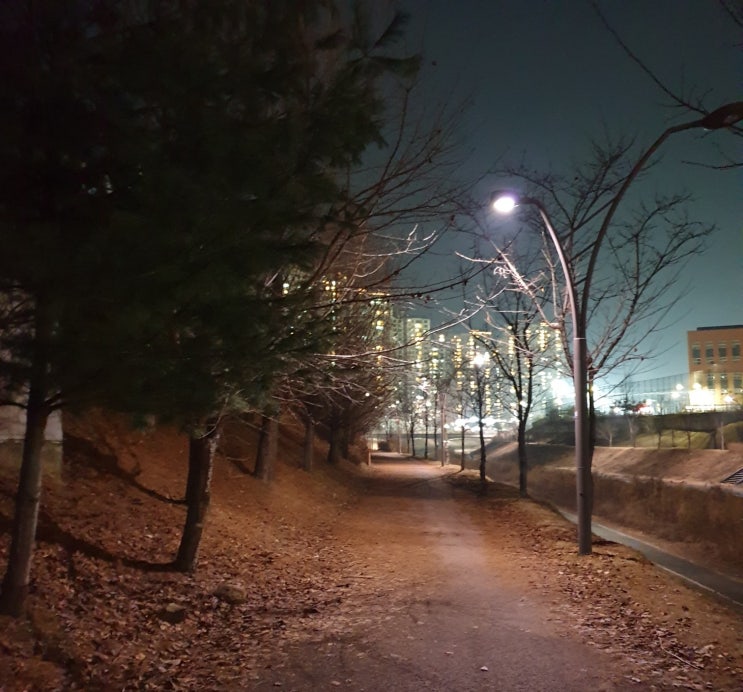 오늘 저녁 남재묘를 통째로 비워놓지 못한 애미. 우리는 역시 저녁산책. 오늘 저녁 남재묘를 통째로 비워놓지 못한 애미. 우리는 역시 저녁산책.