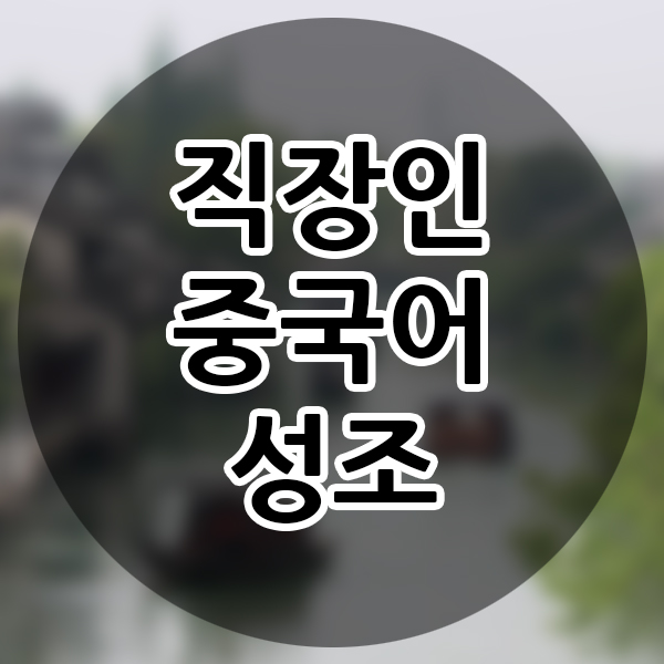  직장인 중국어 성조 문자 배우기 사회인 중국어 발음 공부 중국어 문자 발음기호 알아보기 비즈니스중국어