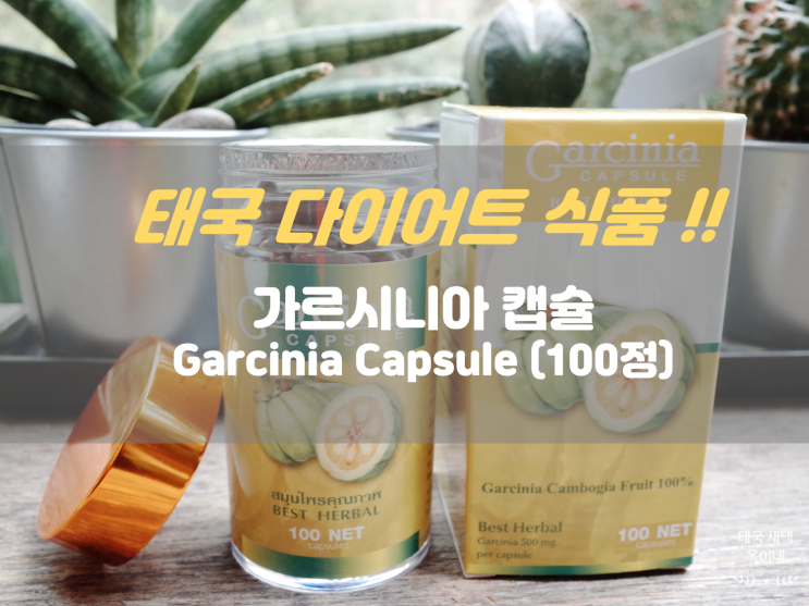  태국 가르시니아 캡슐 Garcinia (100정) 3+1 행사