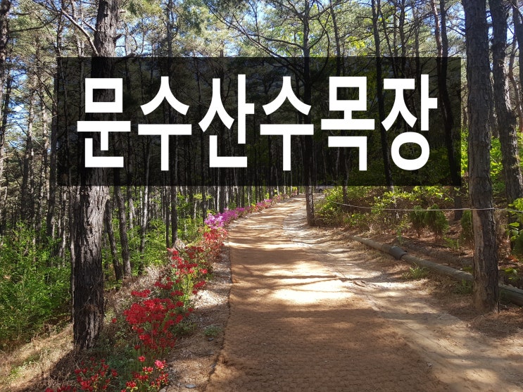  문수산성수목장 자연림으로 허가받은 곳을 아시나요?