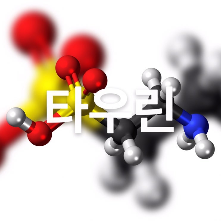 타우린 효능 6가지! 피로회복뿐만 아니라 다이어트까지?