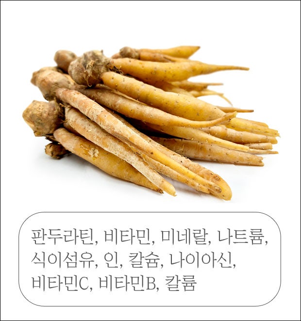 판듀오틴 핑거루트 효능 인도네시아 알약 분말차 먹는법! 1