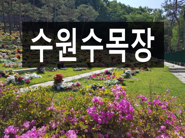 수원수목장 가깝고 저렴하게 모실수 있는곳 안내드립니다.