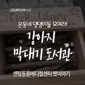  [동물뉴스]온동네 댕댕이들 모여라! 강아지 막대기 도서관 (부산분과전문동물병원, 365일연중무휴)